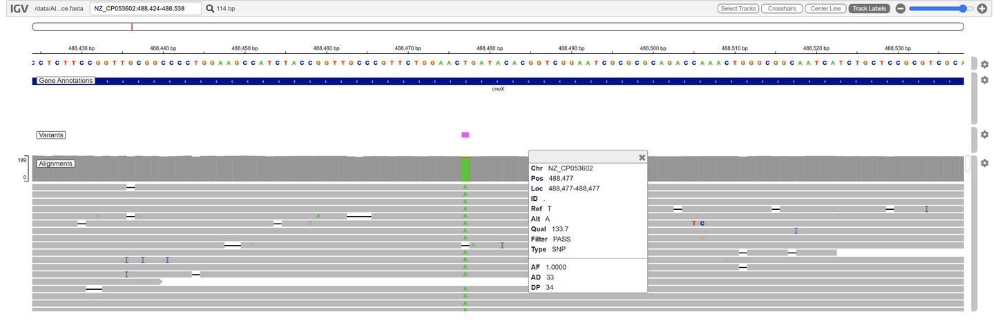 Bacterial Whole Genome Sequencing (less than 7 Mb)