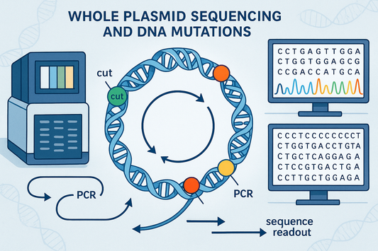 Importance of Whole Plasmid Sequencing