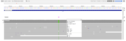 Bacterial Whole Genome Sequencing (less than 7 Mb)
