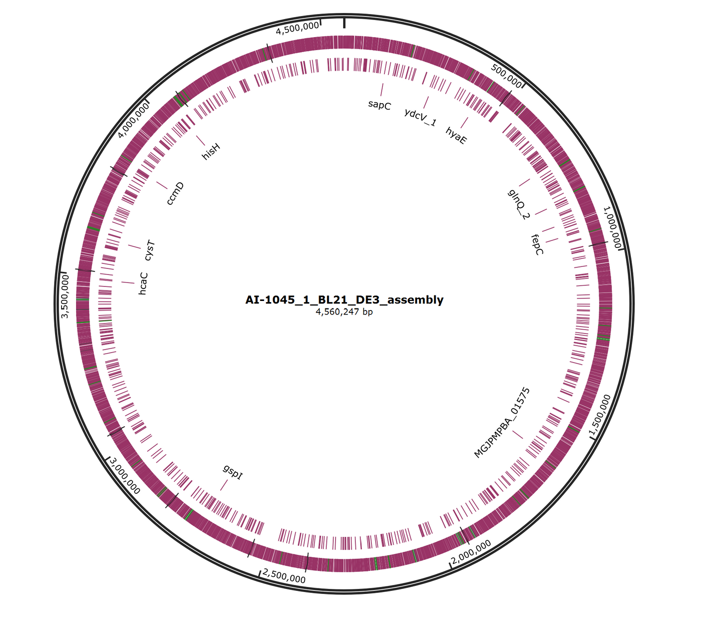Bacterial Whole Genome Sequencing (less than 7 Mb)