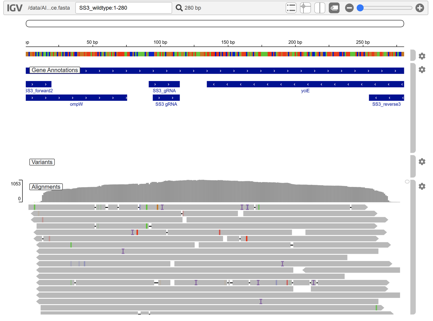 Linear Amplicon Sequencing