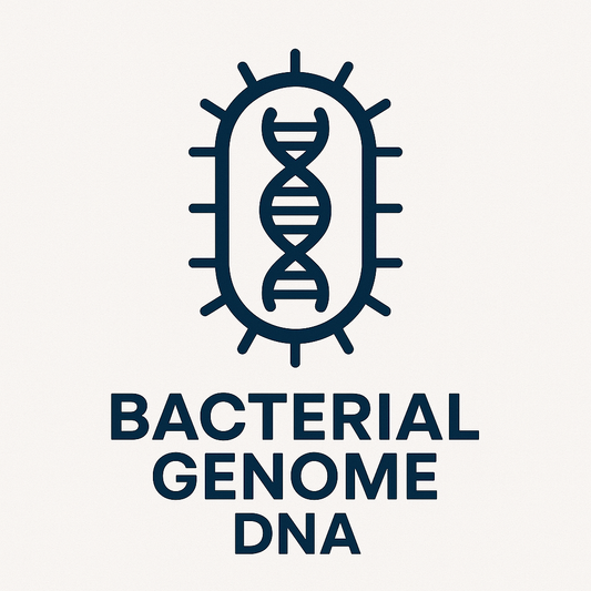 Bacterial Whole Genome Sequencing (less than 7 Mb)