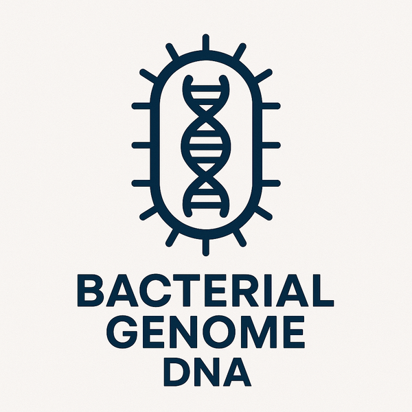 Bacterial Whole Genome Sequencing (less than 7 Mb)