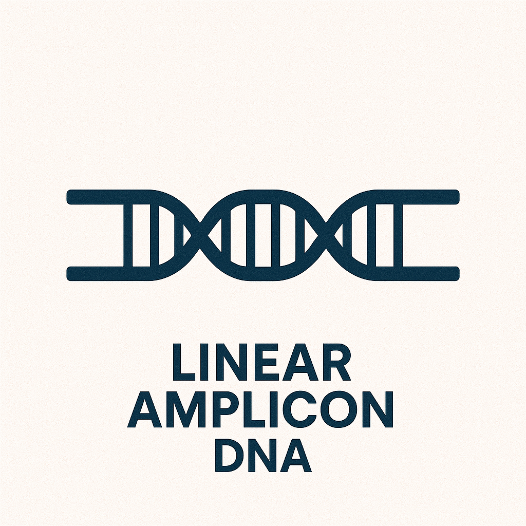 Linear Amplicon Sequencing
