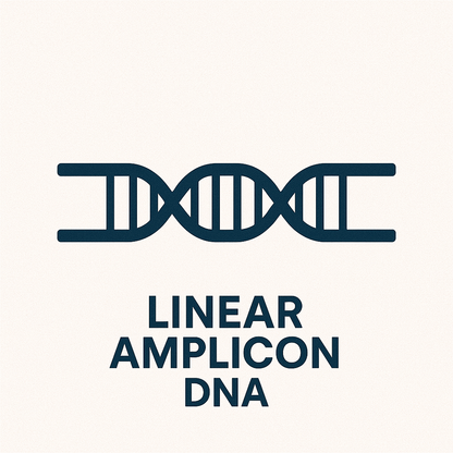 Linear Amplicon Sequencing
