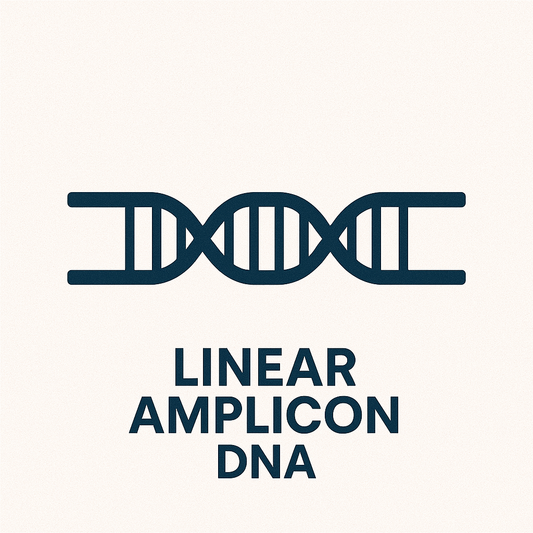 Linear Amplicon Sequencing