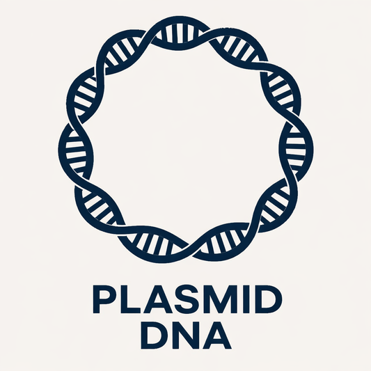 Whole Plasmid Sequencing