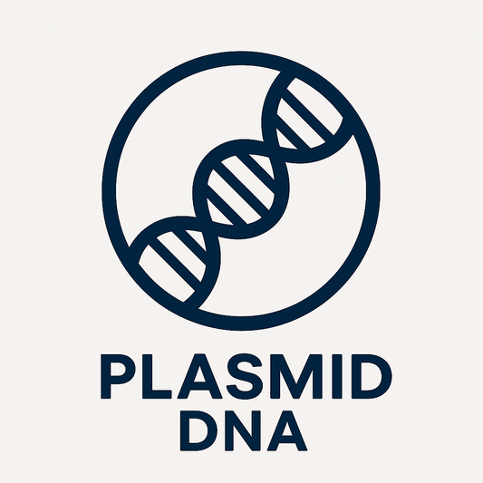 Whole Plasmid Sequencing