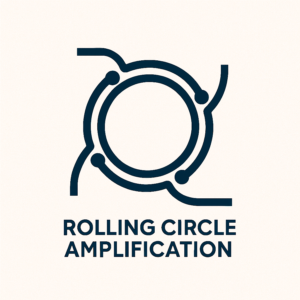 Rolling Circle Amplification (RCA) products