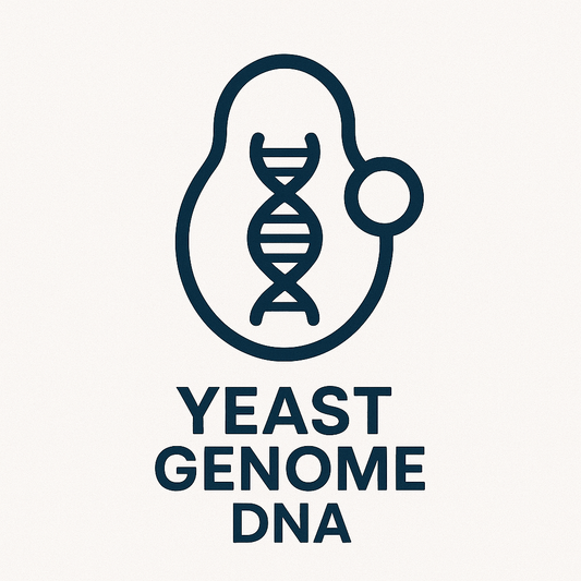 Yeast Whole Genome Sequencing (less than 16 Mb)
